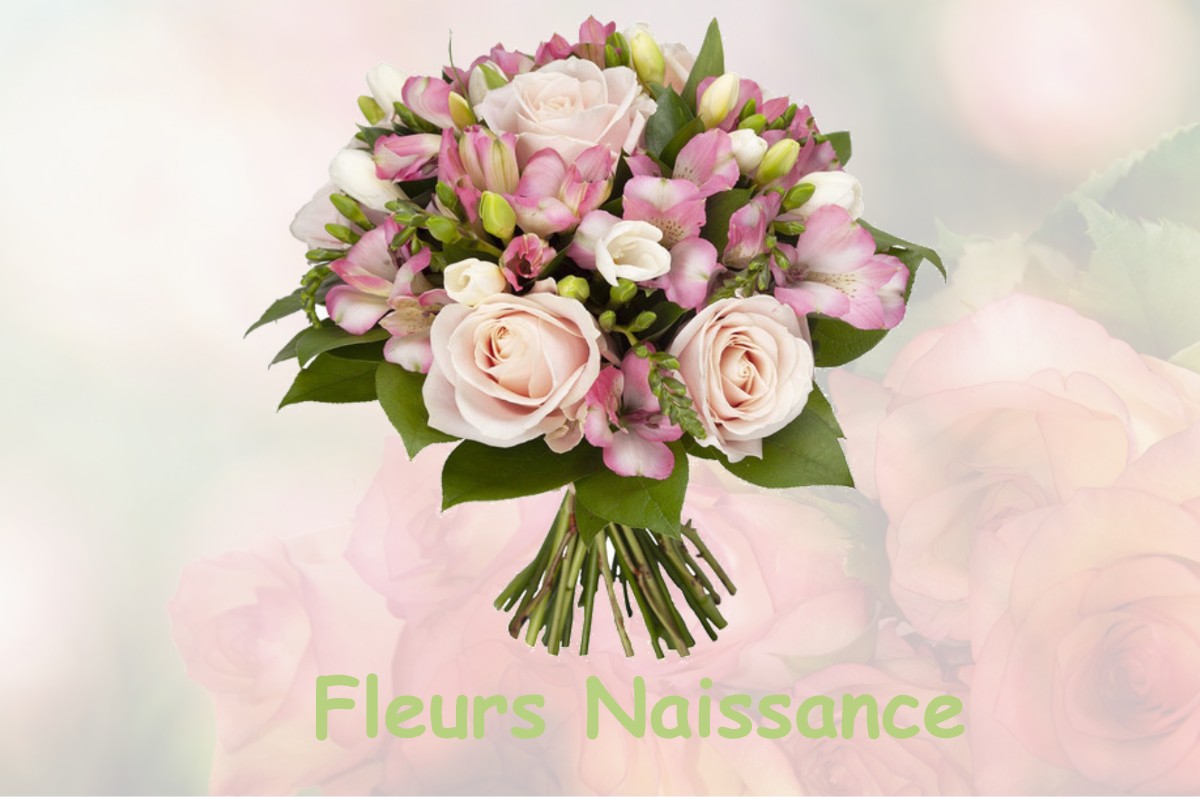fleurs naissance SAINTE-CROIX-HAGUE